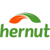 Hernut